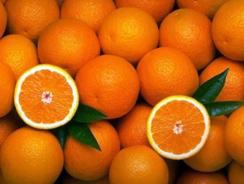 Kandil Ticaret