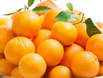 Kandil Ticaret