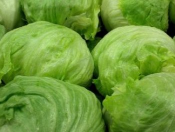 Kandil Ticaret